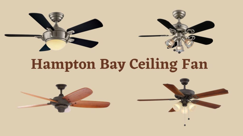 Best Hampton Bay Ceiling Fans Reviews