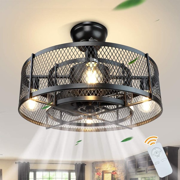 DLLT 20In Caged Ceiling Fan with Light
