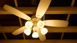 Customizing Your Expensive Ceiling Fan